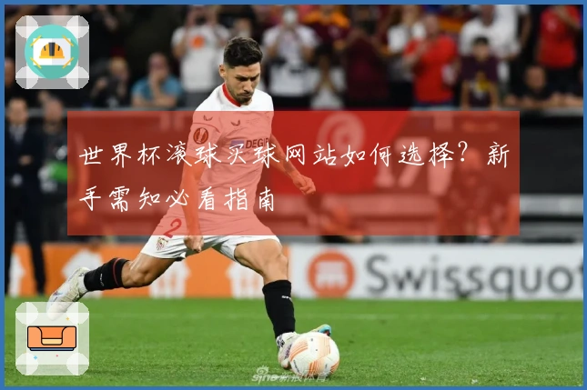世界杯滚球买球网站如何选择？新手需知必看指南