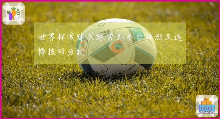 世界杯滚球买球常见平台评测及选择技巧分析