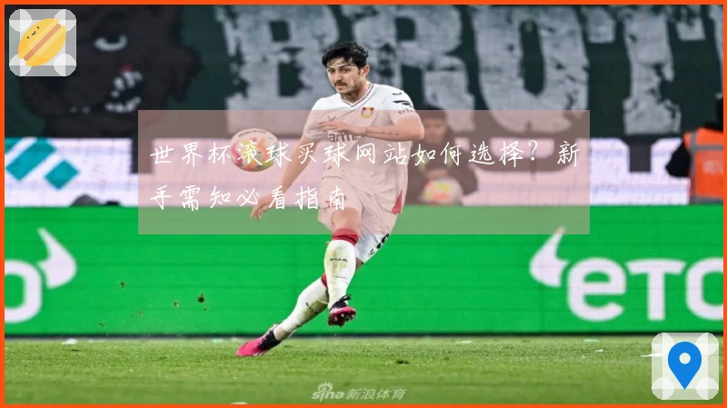 世界杯滚球买球网站如何选择？新手需知必看指南