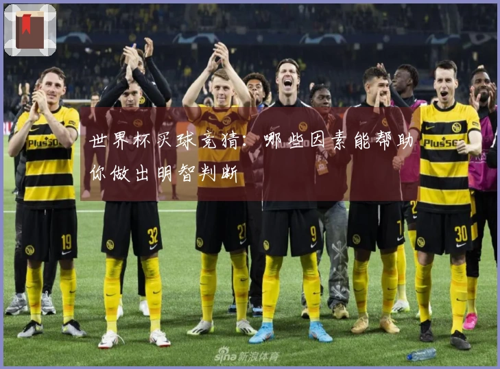 世界杯买球竞猜：哪些因素能帮助你做出明智判断